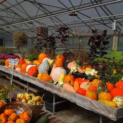 Mary's Greenhouse