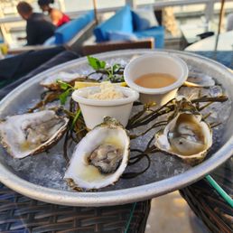 Oysters Oysters