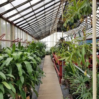Evergreen Garden - Nurseries & Gardening Near Me - San Antonio, Texas