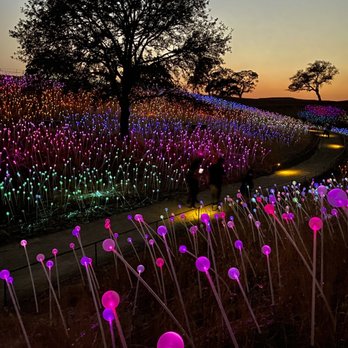 Sensorio - Art Galleries Near Me - Paso Robles, California