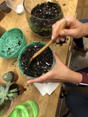 Ephemera - Plants, Terrariums and Comics by null
