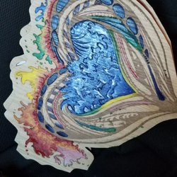 Dom Chi Designs