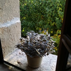Agroturismo Can Guillo Öko-Finca