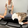 Photo of Cray Physical Therapy