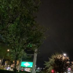 Main Street Marijuana - East - This place to be exact