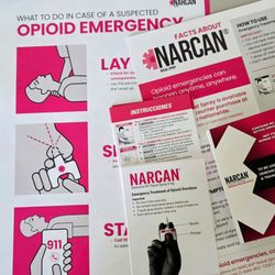 Kyonya Services - All classes include Narcan Demonstration for Opioid Overdose