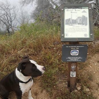 Dawn Mine Hike - Dawn Station on the Mt Lowe Road then to Sunset Ridge Trail back to the Millard Campground trailhead. 7.3 miles round trip - Hiking Near Me - Altadena, California