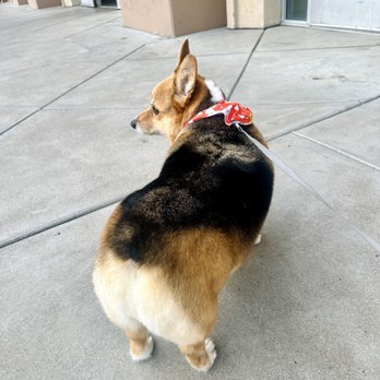 Petco - Pet Stores Near Me - Stockton, California