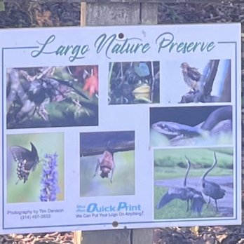 Largo Central Park Nature Preserve - Hiking Near Me - Largo, Florida