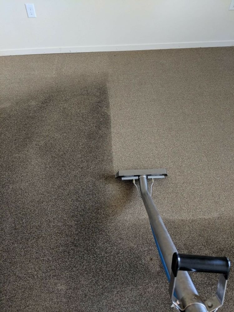 BARRY CLEAN CARPET CARE Updated May 2024 16 Photos Zeeland
