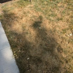 Specialized Property Care - Fertilizer Burn