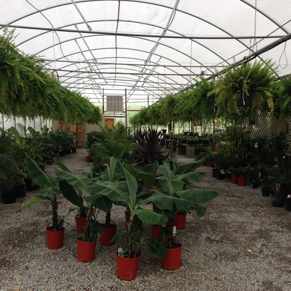 Riverbend Nurseries Garden Center - Nurseries & Gardening Near Me - Franklin, Tennessee Riverbend Nurseries Garden Center - Nurseries & Gardening Near Me - Franklin, Tennessee