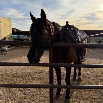 Fort McDowell Adventures - Venues & Event Spaces Near Me - Fort McDowell, Arizona Fort McDowell Adventures - Venues & Event Spaces Near Me - Fort McDowell, Arizona
