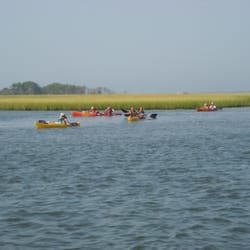 Assateague Island Tours