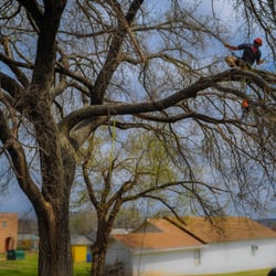 Earth and Arbor Tree Service