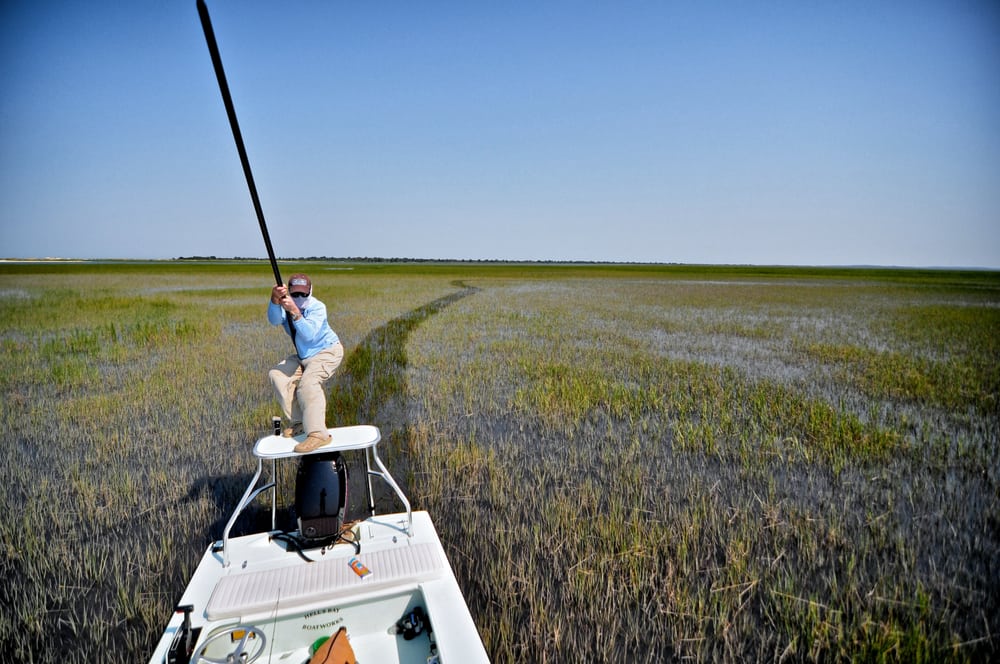 Winyah Guide Service Logo