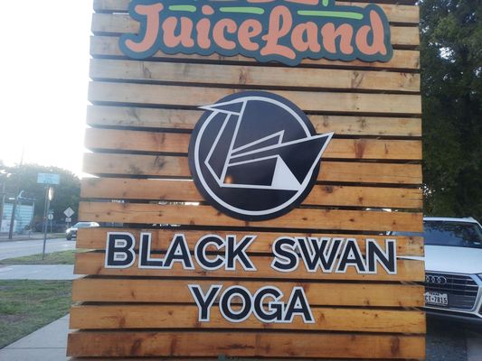 Black Swan Yoga by null