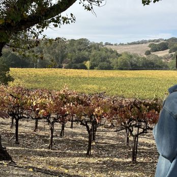 Ru Vango Winery - Wineries Near Me - Napa, California