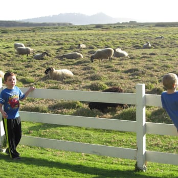 Mission Ranch - Kids being kids, when there is open area... - Venues & Event Spaces Near Me - Carmel, California