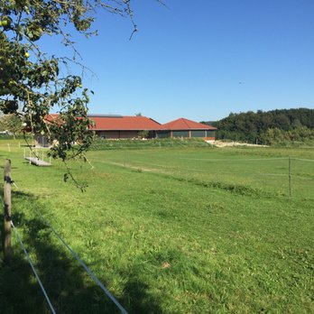 Reitplatz Pichler - Horseback Riding Near Me - Geboltskirchen, 4