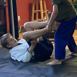Mindful Martial Arts