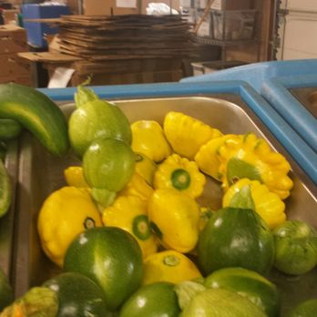 Lattin Farms - Fruits & Veggies Near Me - Fallon, Nevada Lattin Farms - Fruits & Veggies Near Me - Fallon, Nevada