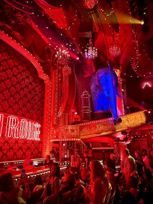 Al Hirschfeld Theatre by null