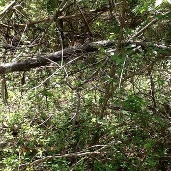 Rush Run Park - Dense. - Parks Near Me - Columbus, Ohio Rush Run Park - Dense. - Parks Near Me - Columbus, Ohio