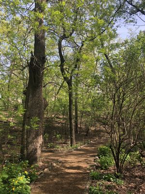 Hallett Nature Sanctuary by null