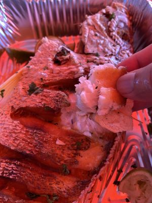 Fresh Florida Fisheries by null