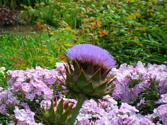 The Bishop's Palace & Gardens by null