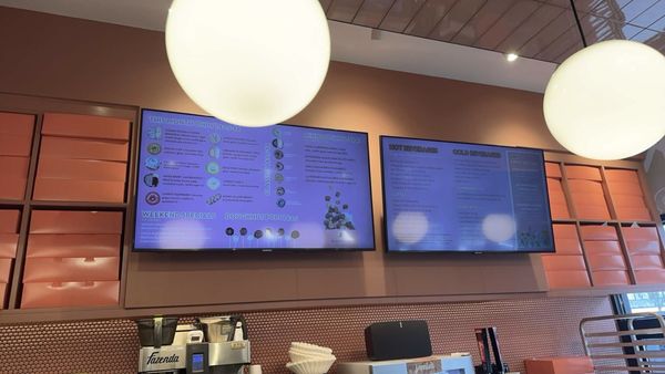 Blackbird Doughnuts Watertown by null