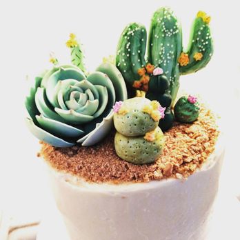 Pent Up Cookie Company - Cactus themed cake toppers. We create and ship custom cake toppers. - Caterers Near Me Pent Up Cookie Company - Cactus themed cake toppers. We create and ship custom cake toppers. - Caterers Near Me
