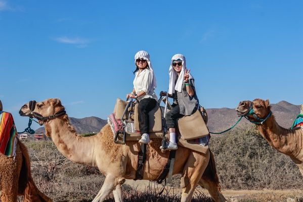 Cabo Adventures by null