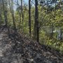 Photo of Jackson River Trail