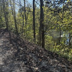 Jackson River Trail