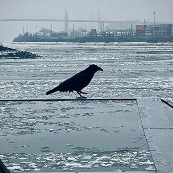 Dockland - Local Flavor Near Me - Hamburg, HH
