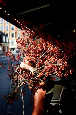 Sokkelund Cafe & Brasserie by null