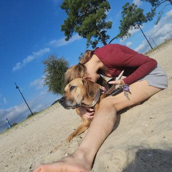 Pet Emergency Clinic - Veterinarians Near Me - Lake Charles, Louisiana Pet Emergency Clinic - Veterinarians Near Me - Lake Charles, Louisiana