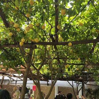 Donna Stella - Natural decor and amazing food! - Pizza Near Me - Amalfi, SA
