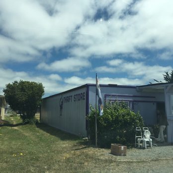 Purple Cat Thift Store - Thrift Stores Near Me - Crescent City, California Purple Cat Thift Store - Thrift Stores Near Me - Crescent City, California