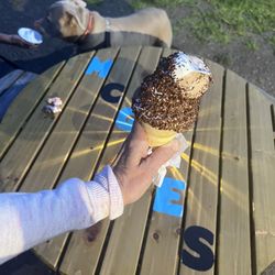 McGee Ice Cream - Twist with jimmies