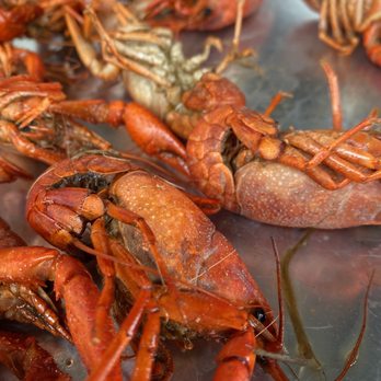 Cover 3 - Crawfish - New American Near Me - Austin, Texas Cover 3 - Crawfish - New American Near Me - Austin, Texas