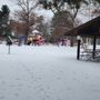 Photo of Crooked Lake Park