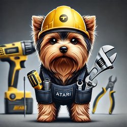 All Pro Junk Demolition & Dumpster Rentals