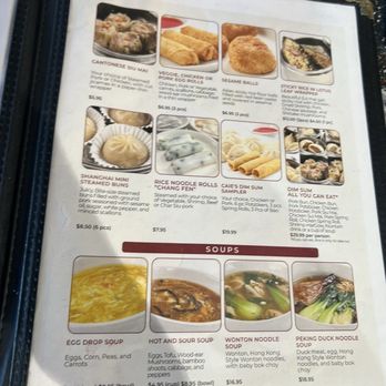 CaiE Oriental Asian Bistro - Dim Sum Near Me - Sparks, Nevada