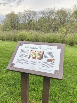 Lied Lodge at Arbor Day Farm by null