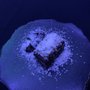Photo of Air: Alinea in Residence