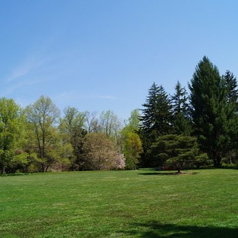 Done Right Tree Service - Tree Services Near Me