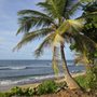 Photo of Surfer Beach